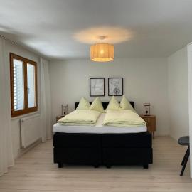 Apartments Soldanella