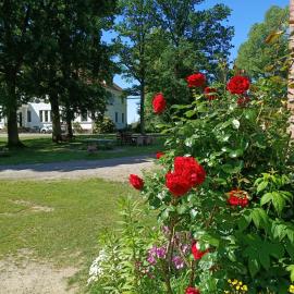 Ferien am Schloss - Wohnung 1 "das Pferd", Ferienwohnung am Badesee
