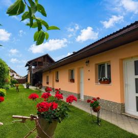 Pensiunea Denis, hotel di Cîrţişoara