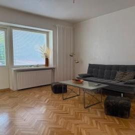 Spacious and cozy two-bedroom apartment in the city center