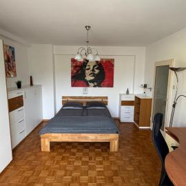 Nice Studio Apartment