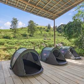 Jungle Nest Ella, готель в Еллі
