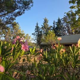 Camping Onlycamp de Boucocers, hotel em Lagrasse