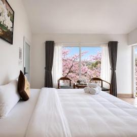 Cherry Luxury Hotel
