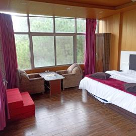 Hotel Pine View Villa, hotel u gradu 'Dagshai'