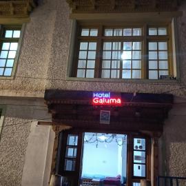 Hotel Galuma Leh