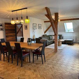 Deichnest bei Friesens für 9 Gäste, hotel di Barsfleth