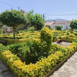 Casa Teles, hotel in Peso da Régua