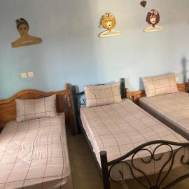 Dar Oulad Hmimid Guest House, hotel in Foum Zguid