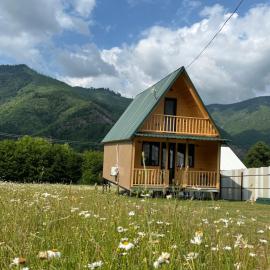 Pine House Borjomi , Mountain View