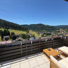 Ferienwohnung mit Pool, Sauna und einem tollen Blick über den Schwarzwald, nahe Freudenstadt