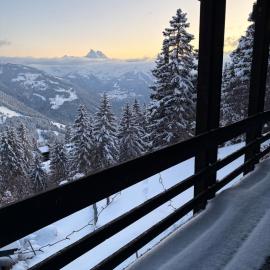 Beautiful chalet with exceptional views, ski-to-door, very quiet, hotel em Gryon