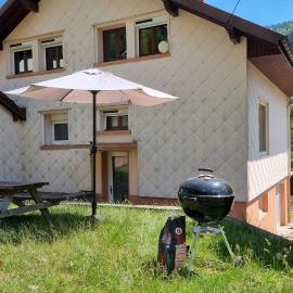 Maison 3 étoiles entre Pistes et Centre-Ville, Billiard, Ping-Pong, PS3, Cheminée, BBQ, Animaux admis, hotel in La Bresse