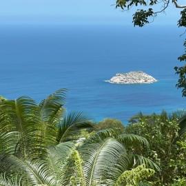 Tropical garden self catering - sea view