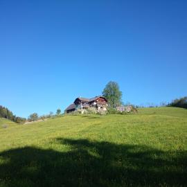 BIO-Bauernhof Kurzeck, hotel in Göstling an der Ybbs