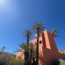 Palm Paradise Alma Homestay, hotel u gradu Elma