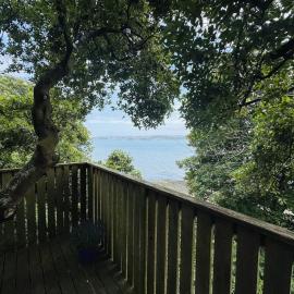 Harbour view Tree House, hotel Cobhban