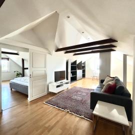 Sommerfryd, hotel in Oslo