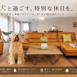 DokiDoggie油壺globe, hotell sihtkohas Miura