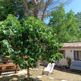 The Garden House, hotel i Boiano