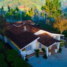 Silver Dale Tea Estate Bungalow Ooty by VOYE HOMES, hotel in Ooty