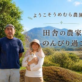 Farm Stay Umemura - Vacation STAY 21213v, hotel in Imari