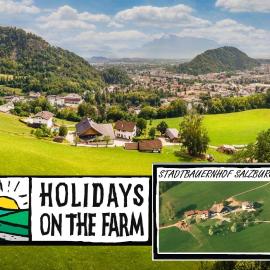Stadtbauernhof Salzburg - Ferienwohnung - Gut Unterleithen - farm & the city
