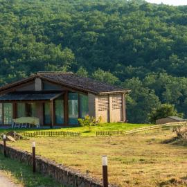 Podere "Le Rondini" in the Heart of Tuscan Countryside