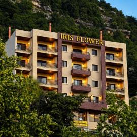 Iris Flower Hotel, hotell i Jezzîne