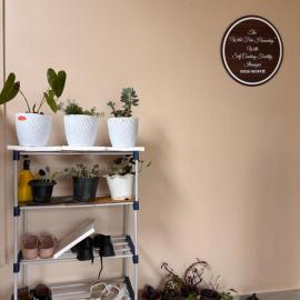 The WildFern Homestay with self cooking facility