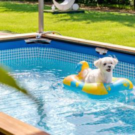 Gapyeong Santa Maria Dog-friendly Privat, hotel in Gapyeong