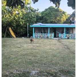 Nanz's Homestay, hotel din Ngunu