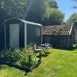 Kleine Pipowagen op natuurcamping, Hotel in Wedde
