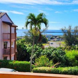 Central and Bright 2 BR, 2 BA, Pool and Oceanview