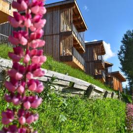 Les chalets de L'Aiguille Grive