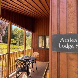 Azalea Lodge 8 with Wood Burning Hot Tub
