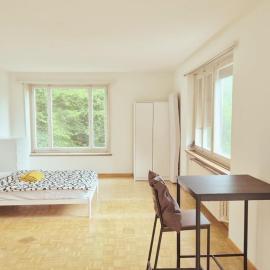 Zurich Center Flats with Balcony - RigiD