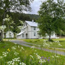 Nyheim Lodge, hotel v destinaci Gjøra