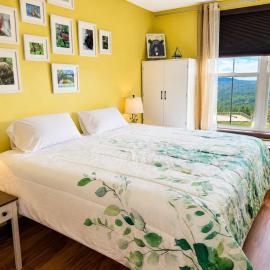 Super Cute Studio Next To Ski Slope WiFi Village, hotel in Slaty Fork