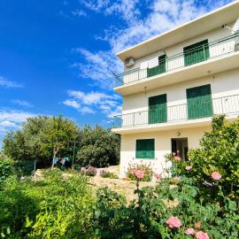 Apartments Ana