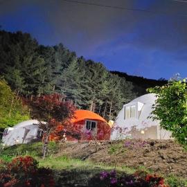 Wonju Forest Dome