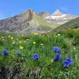 Bed & Breakfast Barba Bertu di Frassino