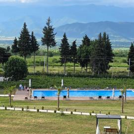 TelaValley Residence-თელაველი რეზიდენსი, hotel a Telavi