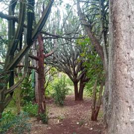 Ethlathini Rest Camp, hotel in Hluhluwe