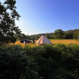 Wild Camping Teepee, hotell Capel Curigis