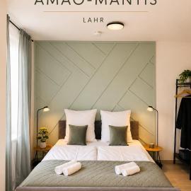 AMAO-Mantis - City Center Studio - Old Town Lahr, Hotel in Lahr