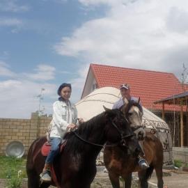 Ак кайын