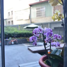 Love Fengchia
