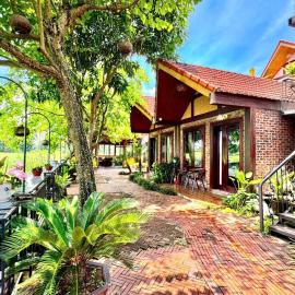 L'Ananas Garden Homestay