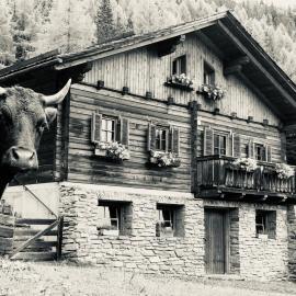 Almhütte Gipper